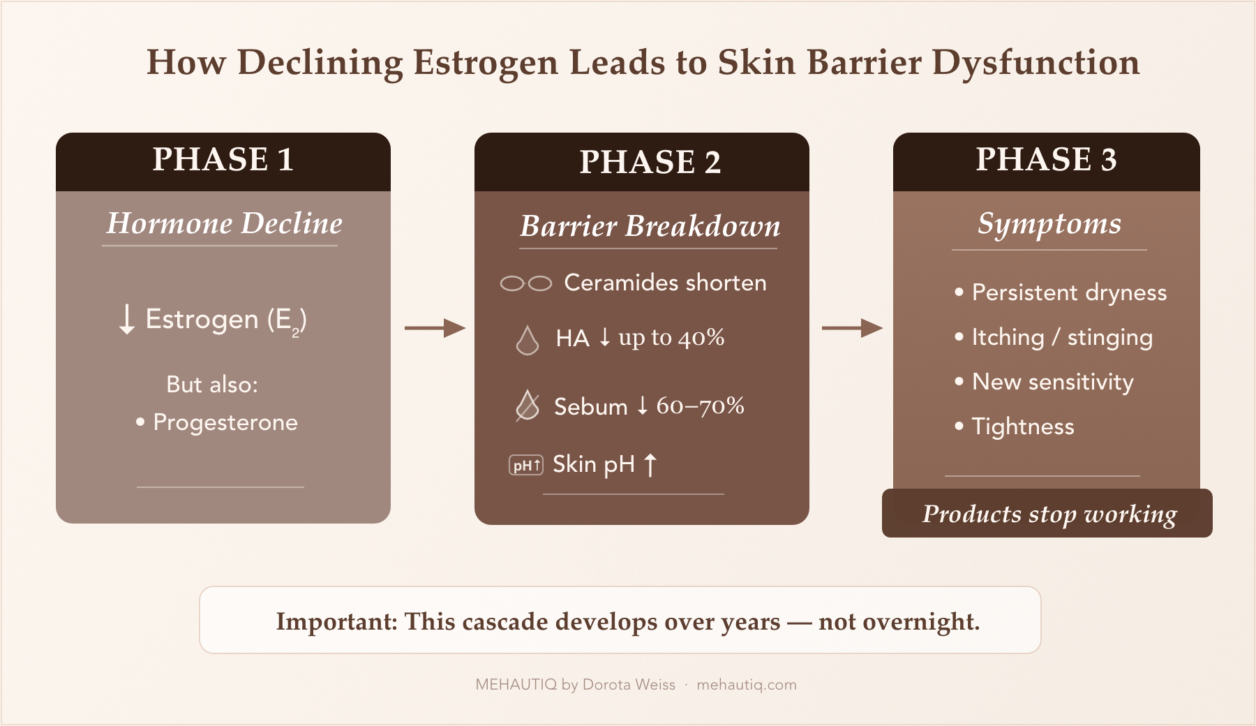 Why Skin Changes in Midlife Can Feel Sudden—even When They Aren’t Three-phase diagram showing how estrogen decline during menopause causes skin barrier breakdown — from hormone changes, to structural damage (ceramide, hyaluronic acid, and sebum loss), to visible symptoms like dryness, sensitivity, and products no longer working.