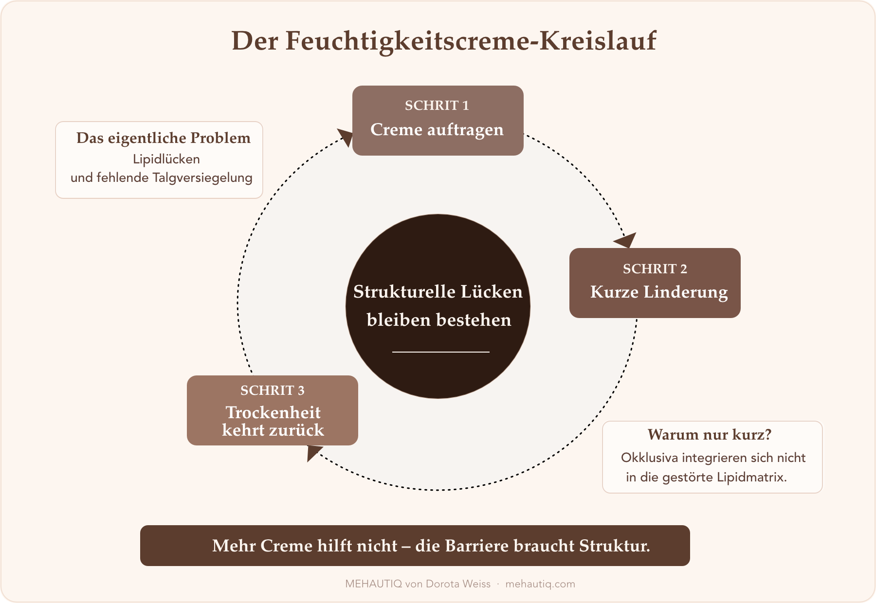 Warum Hautveränderungen in den Wechseljahren plötzlich auftreten–obwohl sie es nicht sind Kreislaufdiagramm, das zeigt, warum herkömmliche Feuchtigkeitscremes bei Haut in den Wechseljahren nur kurzfristige Linderung bieten.
