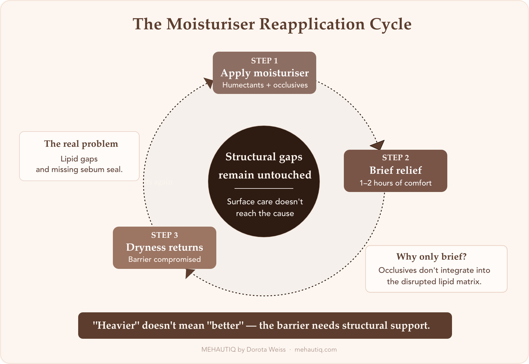 Why Skin Changes in Midlife Can Feel Sudden—even When They Aren’t Flowchart showing the cycle of temporary moisturizer relief and why it fails to address structural barrier problems.