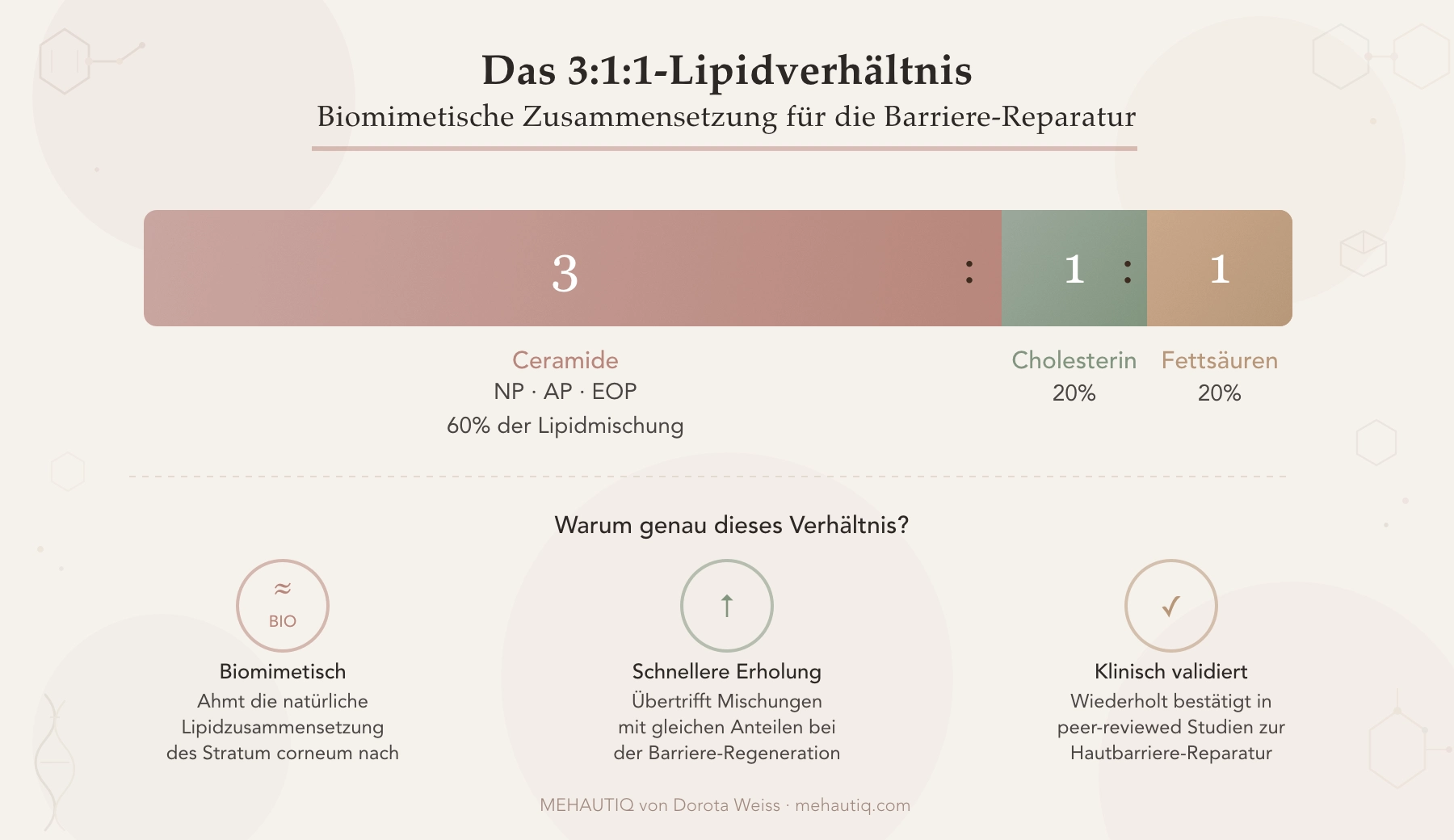 Barriere-Reparatur in den Wechseljahren: Der Leitfaden Illustration der Hautbarriere-Lipide Ceramide, Cholesterin und Fettsäuren in einem klinisch validierten Verhältnis von 3:1:1.