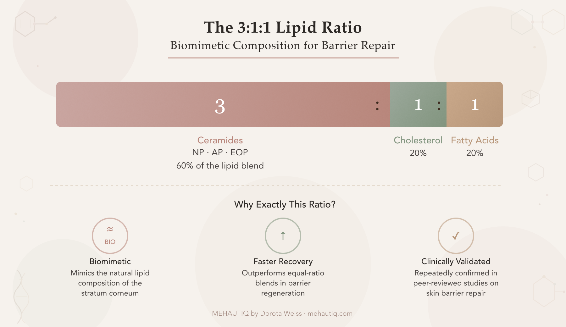 Reading Barrier-Repair Ingredients for Menopausal Skin Illustration of the skin barrier lipids ceramides, cholesterol, and fatty acids shown in a clinically validated 3:1:1 ratio, with ceramides visually dominant, designed to explain menopausal skin barrier repair and lipid replacement therapy in an evidence-based skincare article.