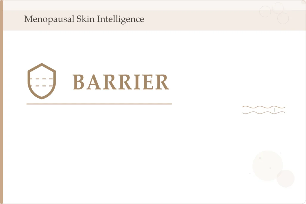 mehautiq card barrier