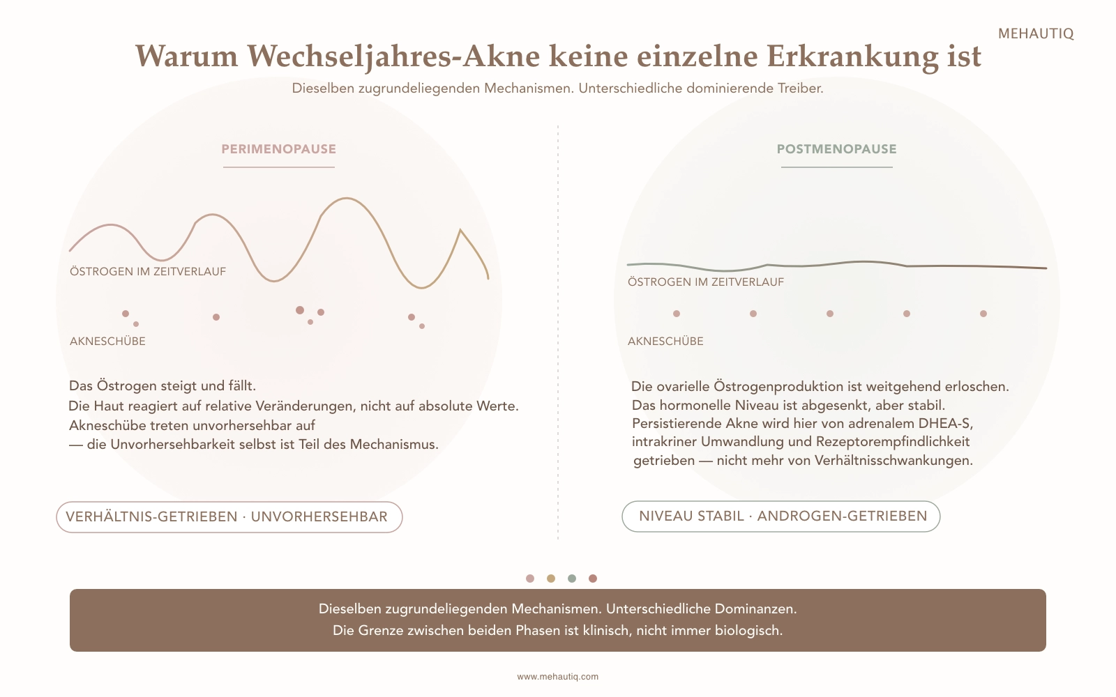 Gegenüberstellung von perimenopausaler Akne (volatiles Östrogen, unvorhersehbare Schübe, verhältnis-getrieben) und postmenopausaler Akne (abgesenktes, aber stabiles Hormonniveau, gleichmäßigere Schübe, durch DHEA-S und Rezeptorempfindlichkeit getrieben). Ein verbindendes Band hält die gemeinsamen Mechanismen fest.